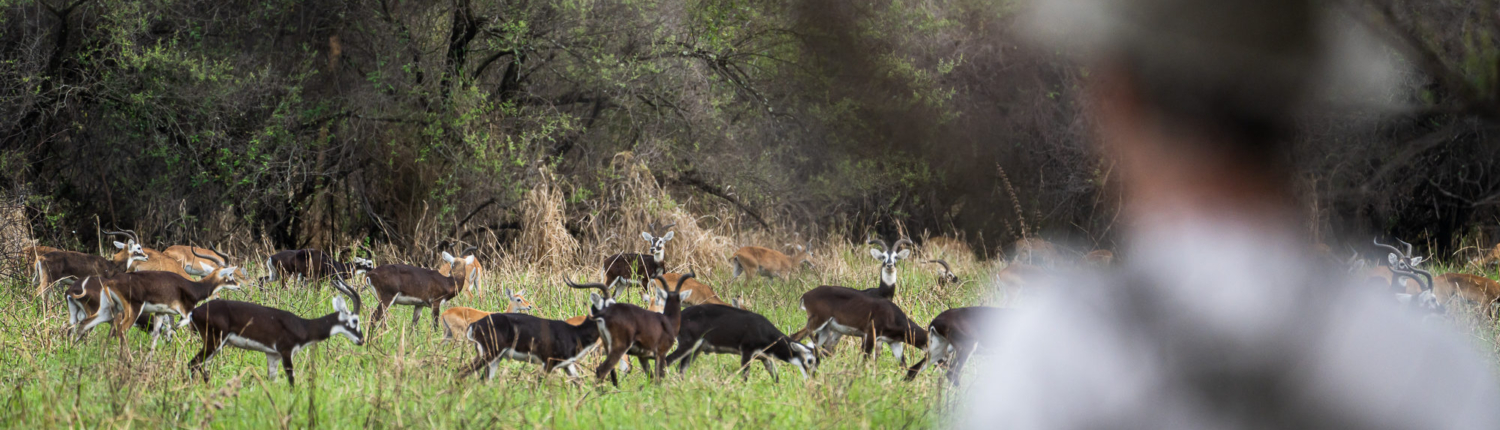 Kyle-de-Nobrega-South-Sudan-276-of-403-e1687275992929-2000x1024