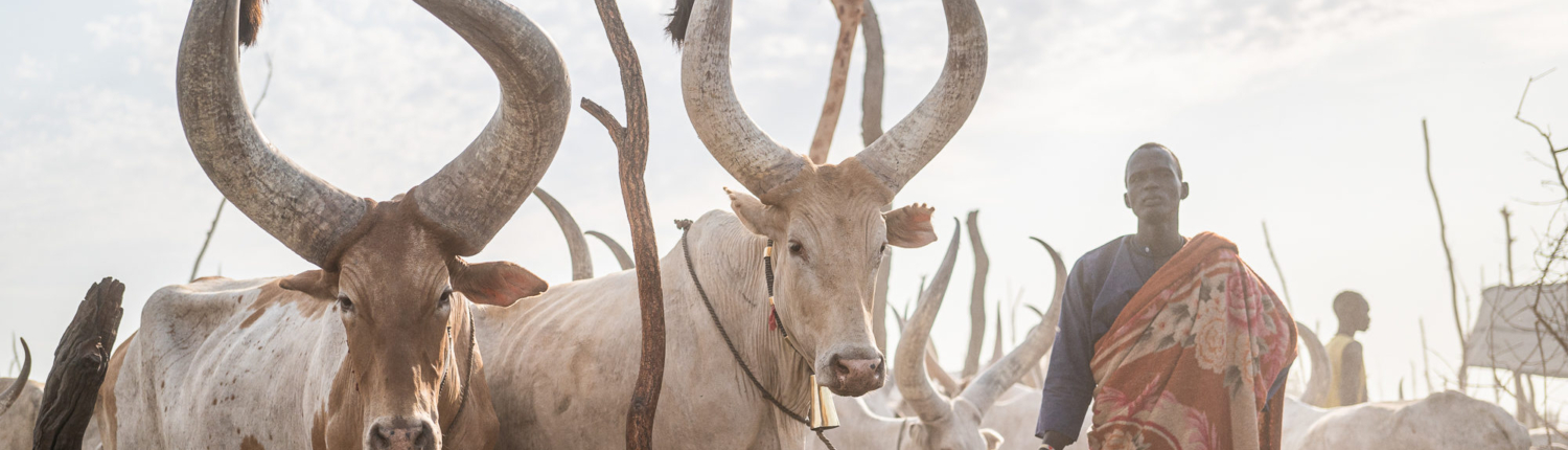 Kyle-de-Nobrega-South-Sudan-Dinka-Cattle-Camp-7-2000x1024